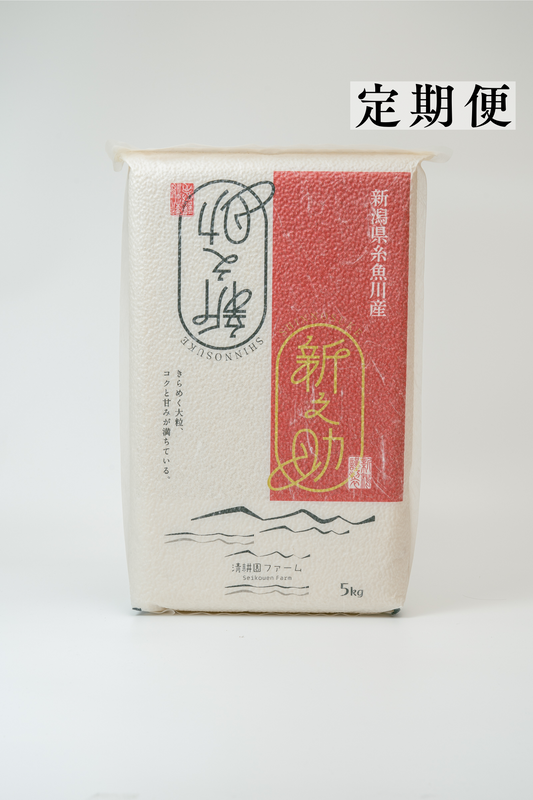 【定期便｜10月～全12回｜毎月10日着】R8年産 糸魚川産 新之助 白米5kg