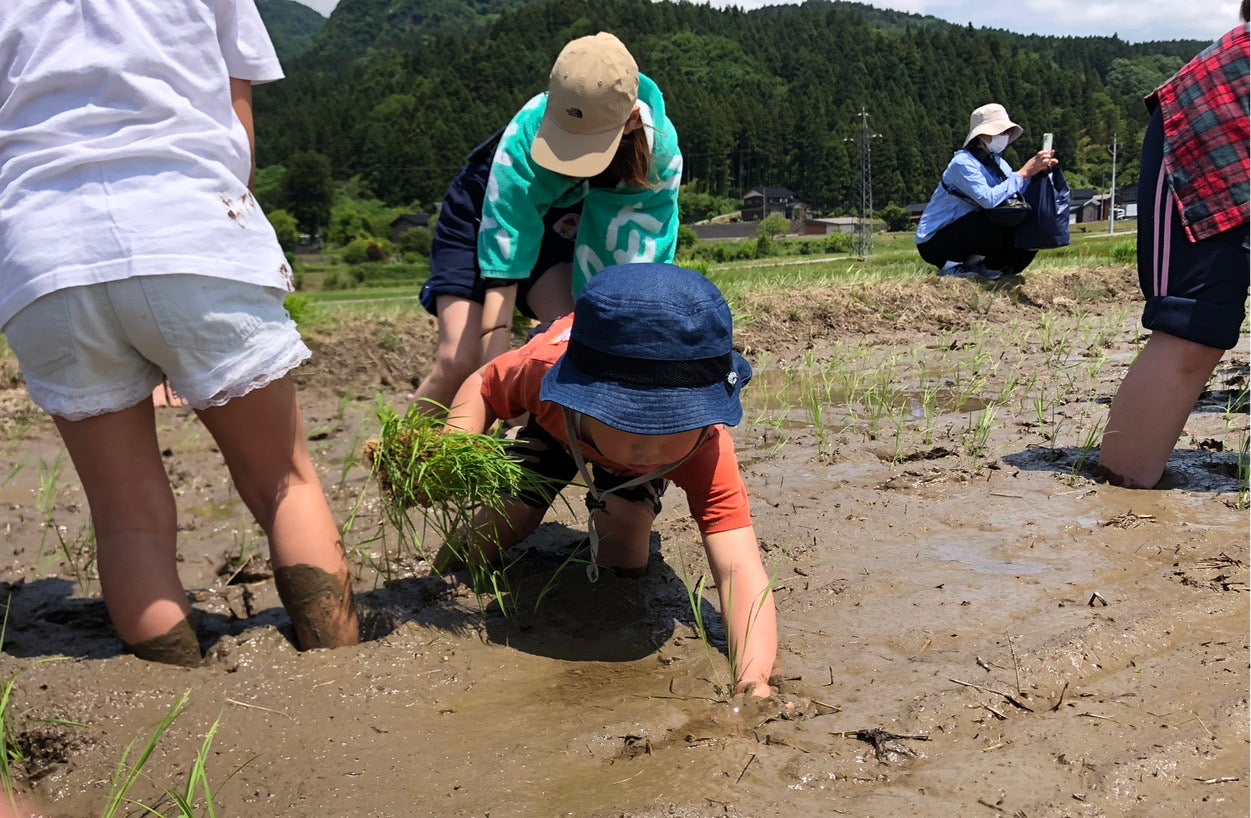 【既存のお客様専用】田んぼの学校