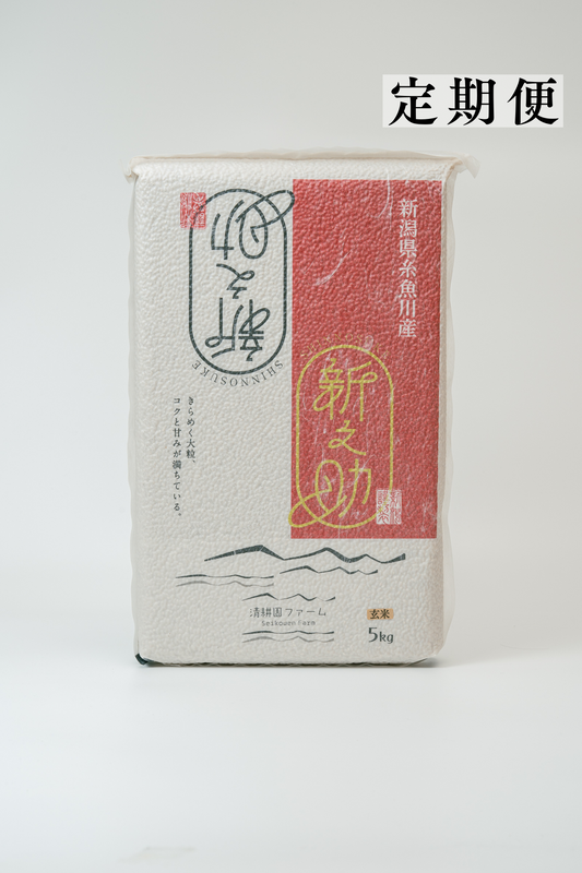 【定期便｜10月～全12回｜毎月10日着】R8年産 糸魚川産 新之助 玄米5kg