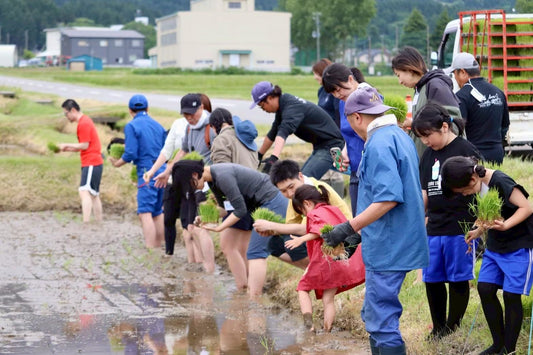 【10区画限定】田んぼの学校2026