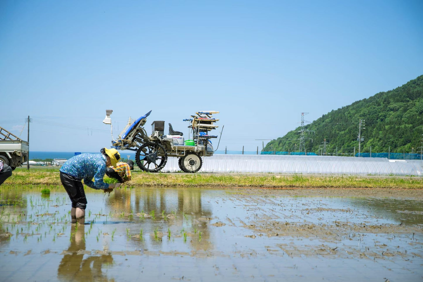 【既存のお客様専用】田んぼの学校